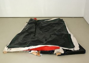 Angela de la Cruz 杂乱一Clutter 1 (2003)