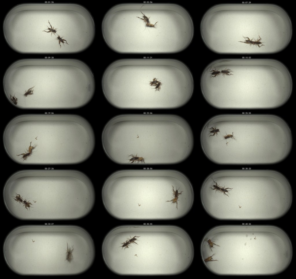 Liu Ren-Space 2011.10.1_Single Video_48m15s_2011