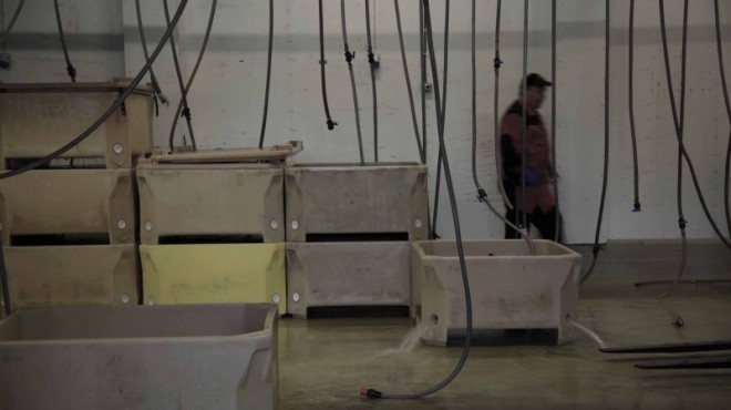 有序无序——李消非的镜头