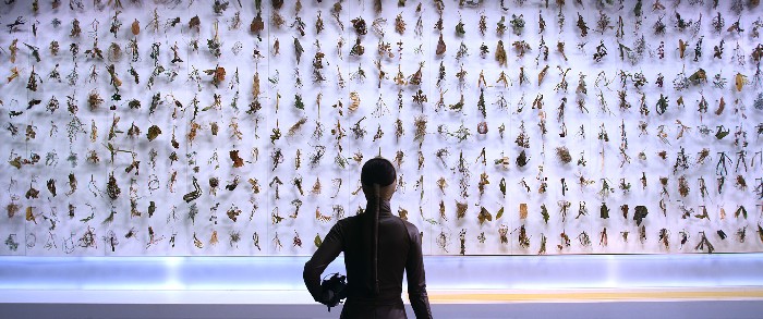 The Future is Now at&nbsp;MAXXI