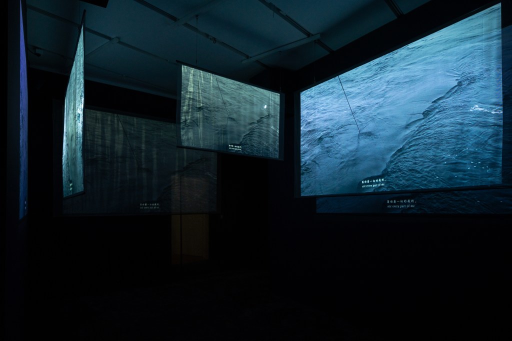 胡晓媛：潜行于异路